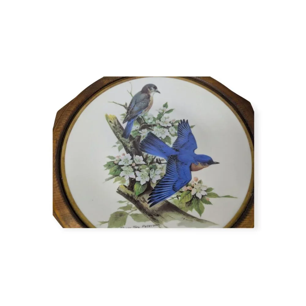 Vintage Roger Tory Peterson Flickers & Bluebird Ceramic Plates Framed 24 kt Gold